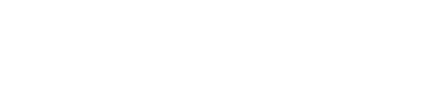 Mercator Travel Logo