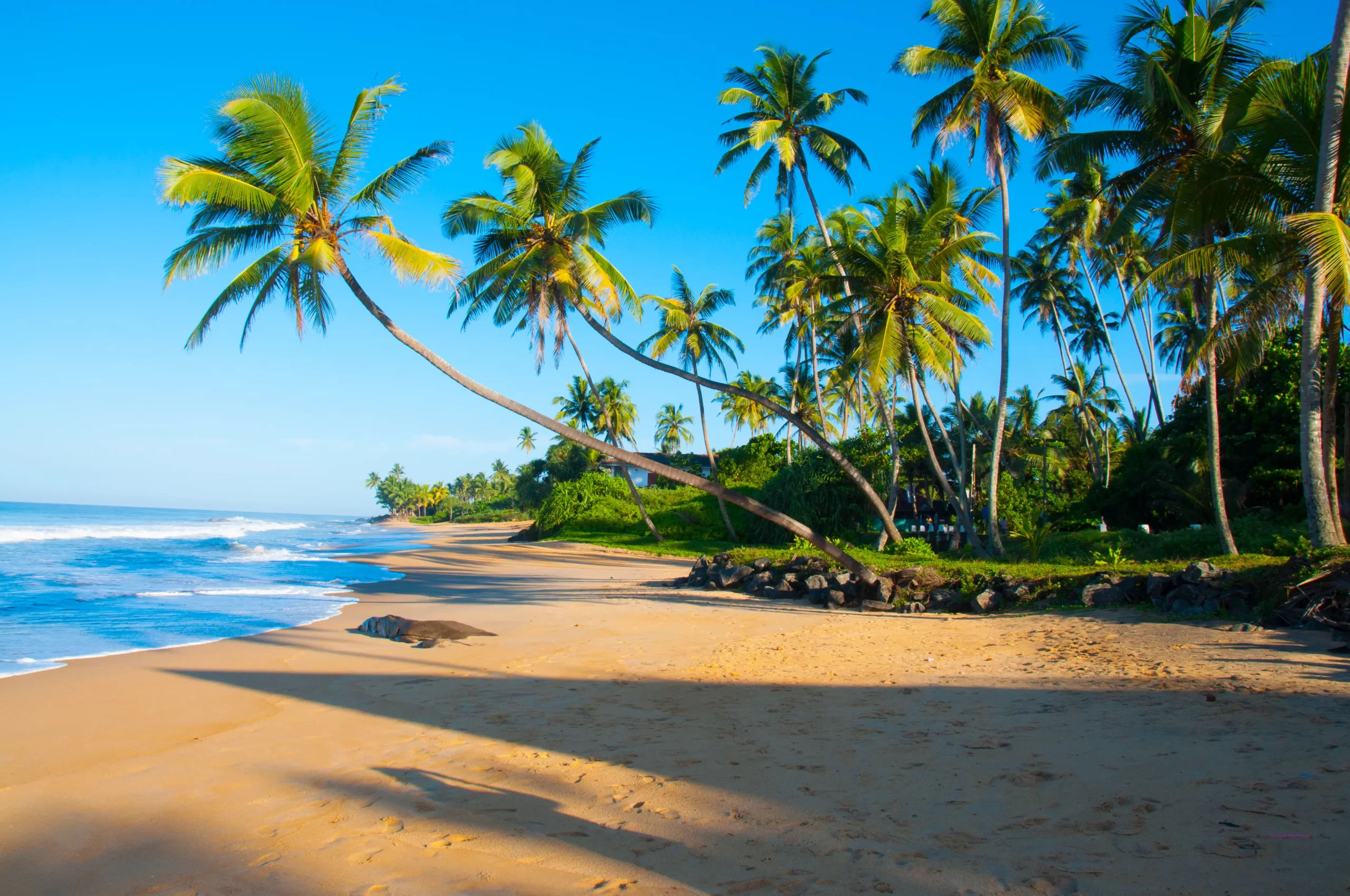 Sri Lanka