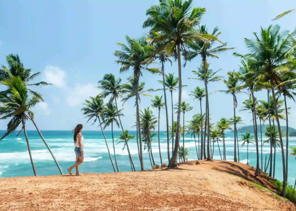 Discover the Best of Sri Lanka’s South Coast: A Paradise of Sun, Sand & Culture