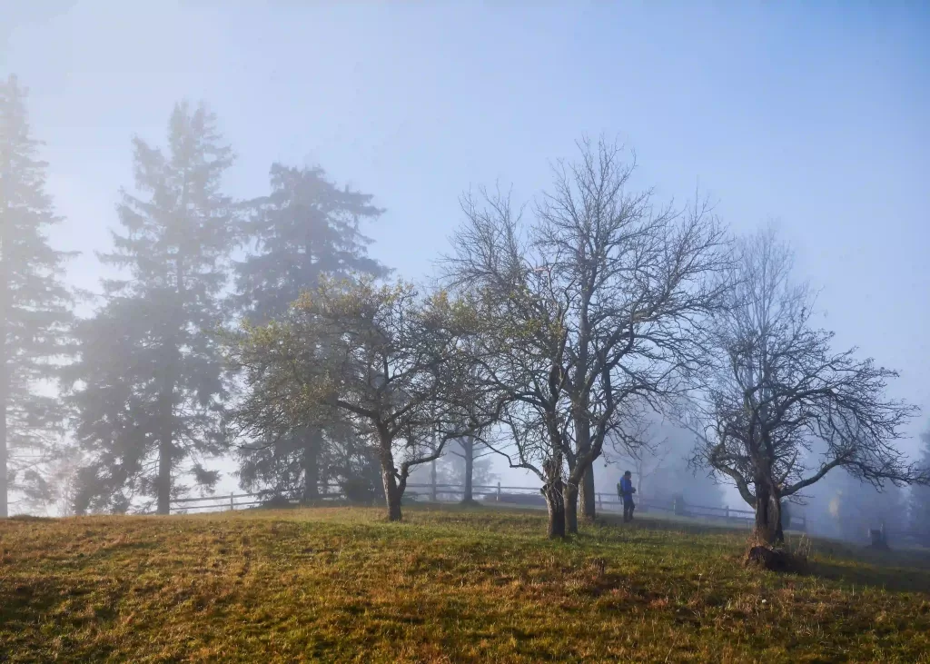 Winter Getaways Near UAE (Snow-Free)