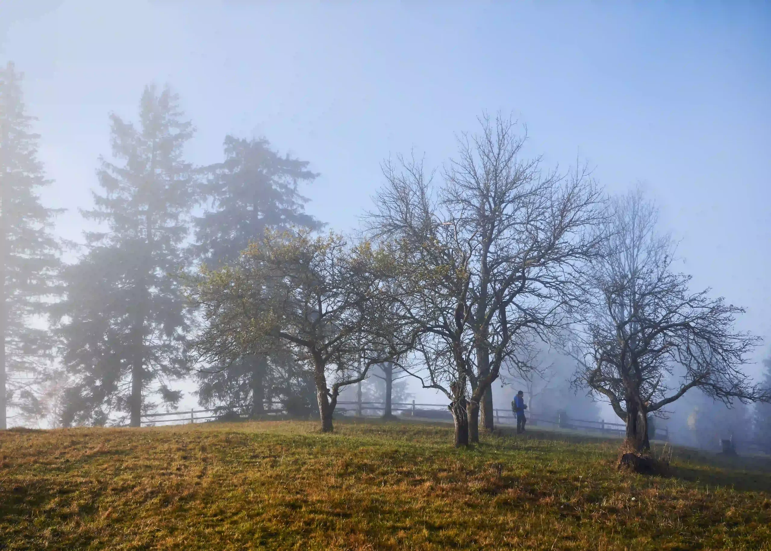 Winter Getaways Near UAE (Snow-Free)