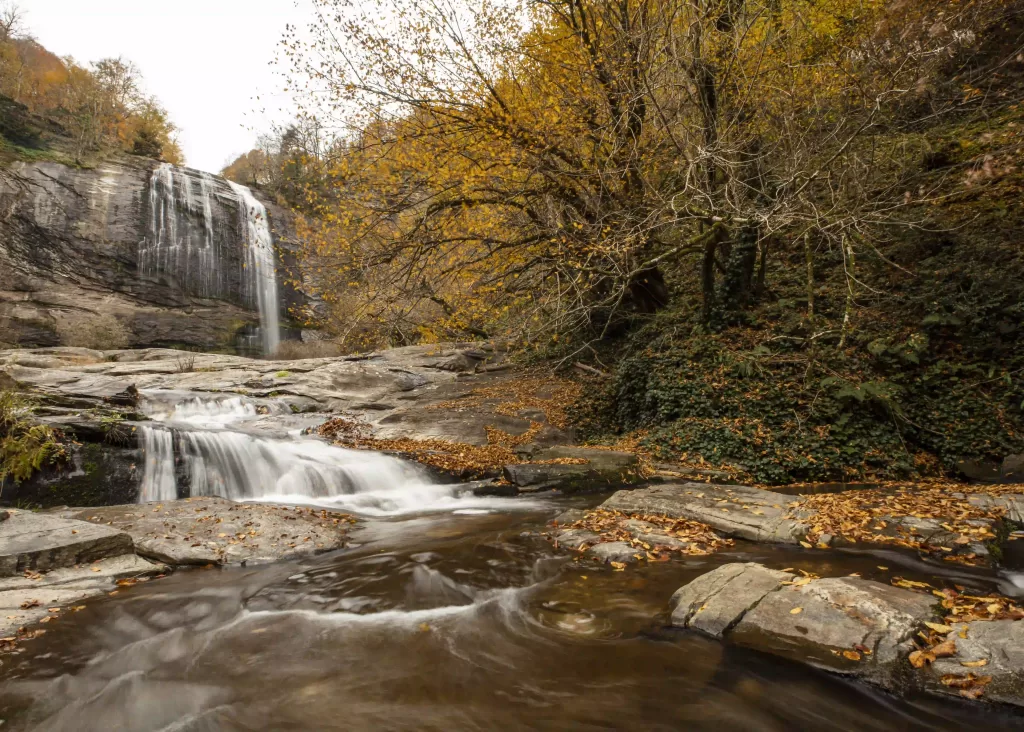 Georgia (Tbilisi, Kakheti, Batumi)